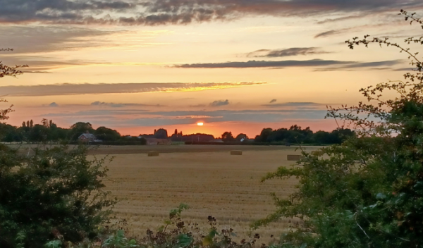 Harvest Sunset by Jenny Wood