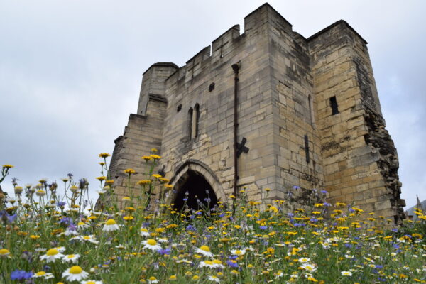 Helen Rowcliffe - Potter Gate	
Potter Gate is a 14th Century former gatehouse.  Standing on an island surrounded by the modern road, the arch looks magnificent, especially with the lovely wild flowers flourishing in front.  Well worth a look, pedestrians are able to walk through and get a close look at the building.