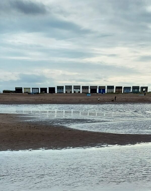 'Sandilands Beach Huts' by Sarah Oliver