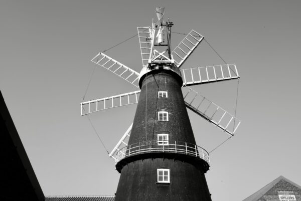 'Starlings gather, all aboard the Windmill' by Simon Goldstein at Heckington Windmill. 